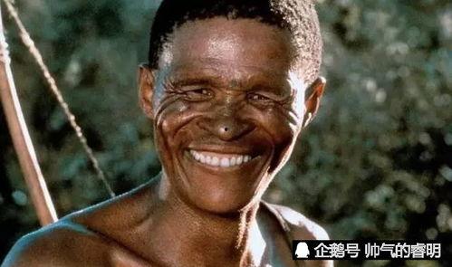 上帝也疯狂,揭秘奇幻世界的神秘力量与信仰奇迹